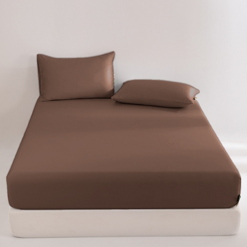 Fitted Bed Sheets Deep Pocket - Fitted Sheet 100% Eucalyptus Lyocell Silky