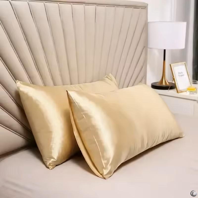 100% Natural Mulberry Silk Pil - Satin Silk Pillowcase Hair Skin ulasan dan harga